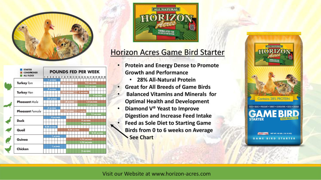 Horizon Acres - Game Bird Starter