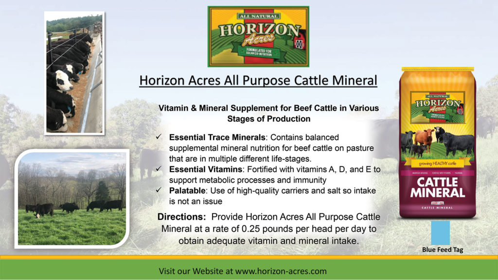 Horizon Acres All Purpose Cattle Mineral is a vitamin and mineral supplement for beef cattle in various stages of production