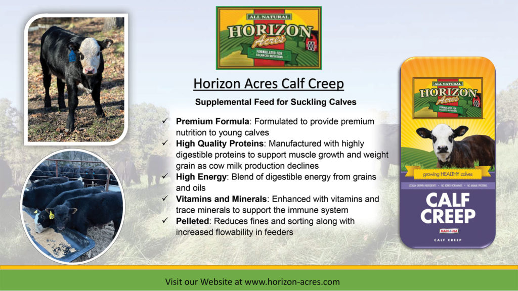 Horizon Acres Calf Creep is a supplemental feed for suckling calves