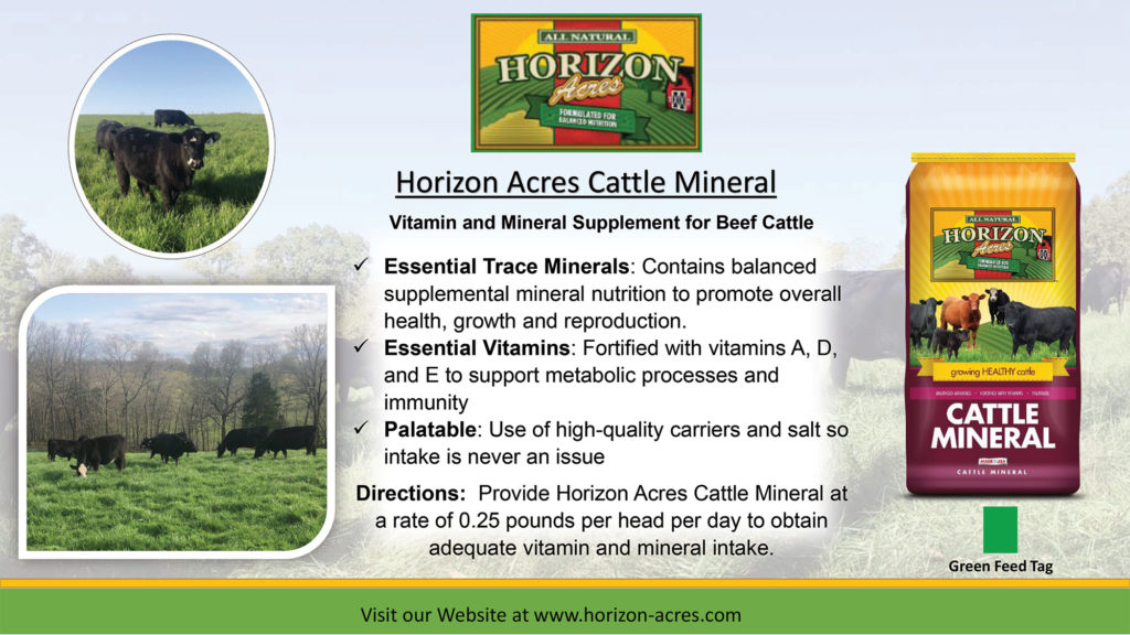 Horizon Acres Cattle Mineral is a vitamin and mineral supplement for beef cattle