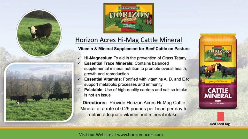 Horizon Acres Hi-Mag Cattle Mineral is a vitamin and mineral supplement for beef cattle on pasture