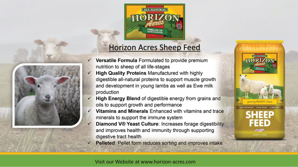 Horizon Acres Sheep Feed is a complete feed formulated for sheep in all stages of production