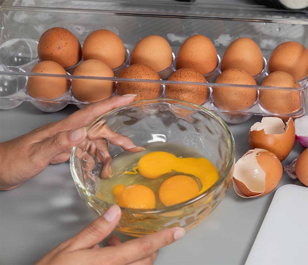 Horizon Acres: All About Eggs